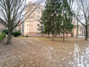 Prodej bytu 2+1, Kolín - Kolín II, Družstevní, 53 m2