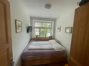 Pronájem rodinného domu, Hradec Králové, Třebízského, 250 m2