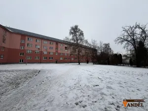 Prodej bytu 2+1, Havířov, 1. máje, 49 m2