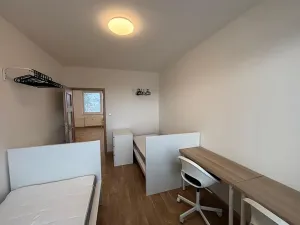 Pronájem pokoje, Olomouc, Přichystalova, 65 m2