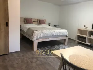 Pronájem bytu 1+kk, Teplice, Rokle, 32 m2