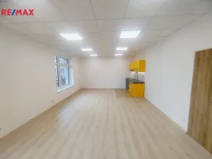 Pronájem kanceláře, Ostrava - Mariánské Hory, U Vodojemu, 88 m2