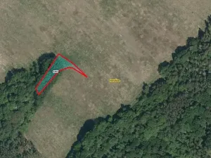 Prodej lesa, Horušice, 1029 m2