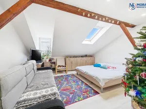 Prodej bytu 1+1, Olomouc, Javoříčská, 54 m2