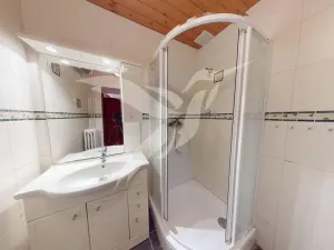 Pronájem rodinného domu, Plzeň, Sušická, 170 m2