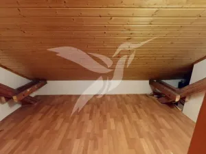 Pronájem rodinného domu, Plzeň, Sušická, 170 m2