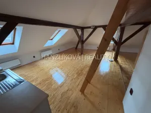 Pronájem bytu 1+kk, České Budějovice - České Budějovice 2, Husova tř., 45 m2