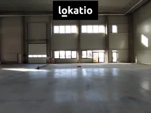 Pronájem skladu, Kralupy nad Vltavou, V Pískovně, 2600 m2