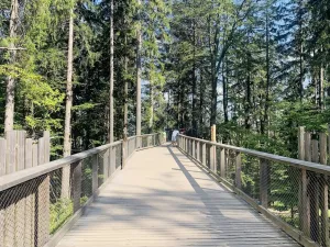 Prodej bytu 2+kk, Vrchlabí - Hořejší Vrchlabí, Horská, 46 m2