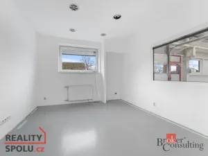 Pronájem výrobních prostor, Blešno, 700 m2