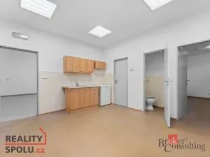 Pronájem výrobních prostor, Blešno, 700 m2