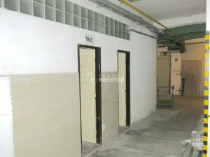 Pronájem skladu, Jirny, Tovární, 166 m2