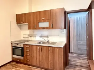 Pronájem bytu 1+1, Ostrava - Přívoz, Špálova, 45 m2