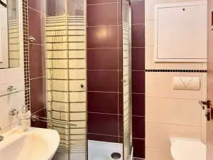 Pronájem bytu 1+1, Ostrava - Přívoz, Špálova, 45 m2