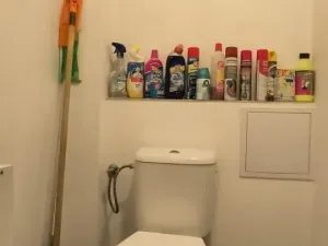 Pronájem bytu 2+1, Husova 460, 44001 Louny, 63 m2