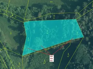 Dražba lesa, Rabí, 4276 m2