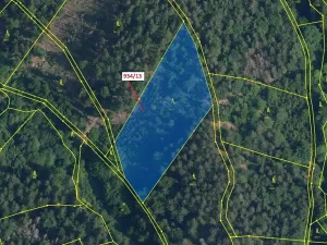 Dražba lesa, Jílové u Držkova, 6213 m2