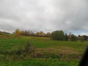 Dražba pole, Mochtín, 38121 m2