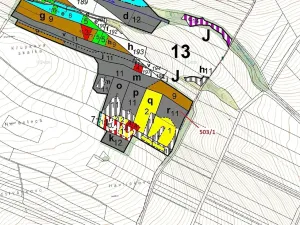 Dražba lesa, Přemyslovice, 7049 m2
