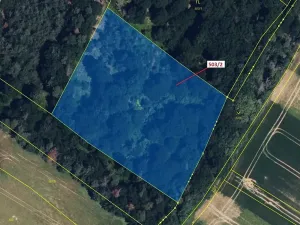 Dražba lesa, Přemyslovice, 6942 m2