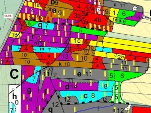 Dražba lesa, Jílovice, 13375 m2