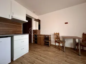 Pronájem bytu 1+kk, Brno, Křivánkovo náměstí, 21 m2
