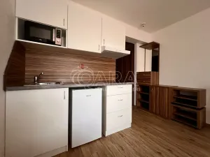 Pronájem bytu 1+kk, Brno, Křivánkovo náměstí, 21 m2