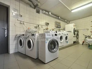 Pronájem bytu 1+kk, Brno, Křivánkovo náměstí, 21 m2