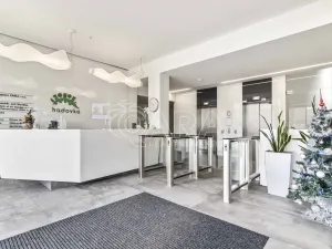 Pronájem kanceláře, Praha - Dejvice, Evropská, 318 m2
