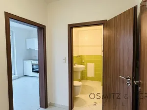 Pronájem bytu 1+kk, Praha - Horní Měcholupy, Padovská, 35 m2