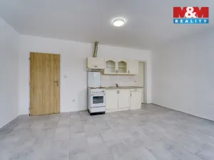 Pronájem bytu 1+kk, Plzeň - Malesice, Mlýnská, 25 m2