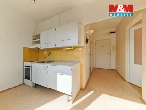 Prodej bytu 1+1, Janské Lázně, Na Sluneční Stráni, 32 m2