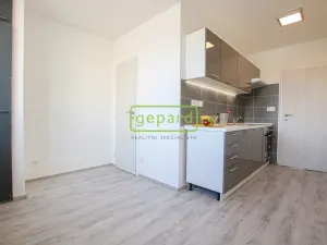 Pronájem bytu 1+1, Brno, Palackého třída, 39 m2