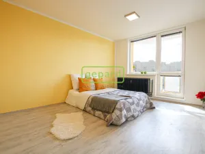 Pronájem bytu 1+1, Brno, Palackého třída, 39 m2