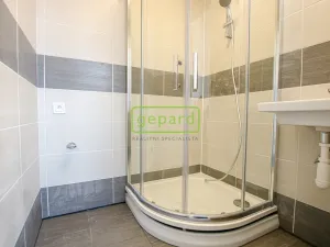 Pronájem bytu 1+1, Brno, Palackého třída, 39 m2