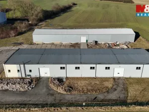 Pronájem skladu, Čestice, 650 m2