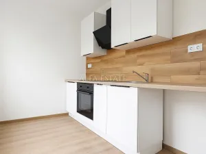 Pronájem bytu 1+1, Habartov, Mírová, 41 m2