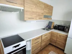 Pronájem bytu 2+1, Rokytnice v Orlických horách, Sídliště 1. máje, 54 m2