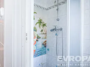 Pronájem bytu 1+1, Havlíčkův Brod, Bezručova, 46 m2