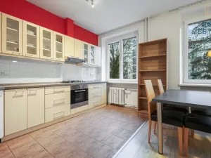 Pronájem bytu 2+kk, Brno, Leitnerova, 50 m2