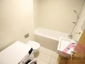 Pronájem bytu 1+kk, Praha - Žižkov, Pitterova, 66 m2