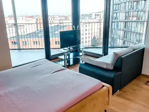Pronájem bytu 1+kk, Praha - Žižkov, Malešická, 38 m2