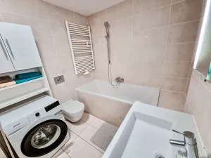 Pronájem bytu 1+kk, Praha - Žižkov, Malešická, 38 m2