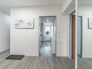 Pronájem bytu 3+1, Slaný, O. Scheinpflugové, 71 m2