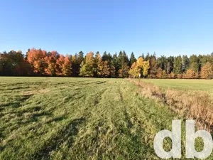 Prodej pozemku pro bydlení, Nová Role, 43224 m2