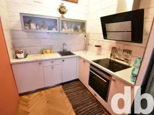 Prodej bytu 2+kk, Karlovy Vary, Svahová, 116 m2