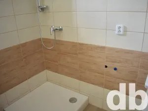 Prodej komerční nemovitosti, Chodov, 750 m2