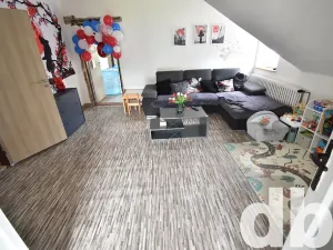 Prodej vícegeneračního domu, Karlovy Vary, K Přehradě, 568 m2