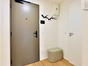 Prodej bytu 1+kk, Brno, Bratislavská, 44 m2