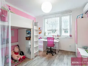 Pronájem bytu 3+kk, Štěpánov, Sídliště, 59 m2